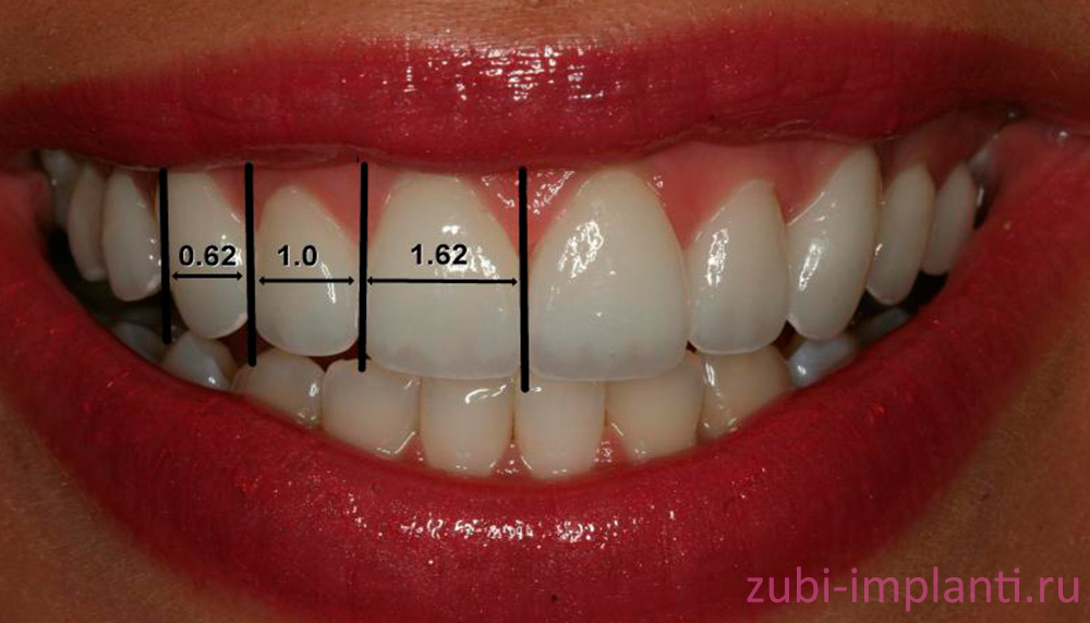 золотое сечение в стоматологии